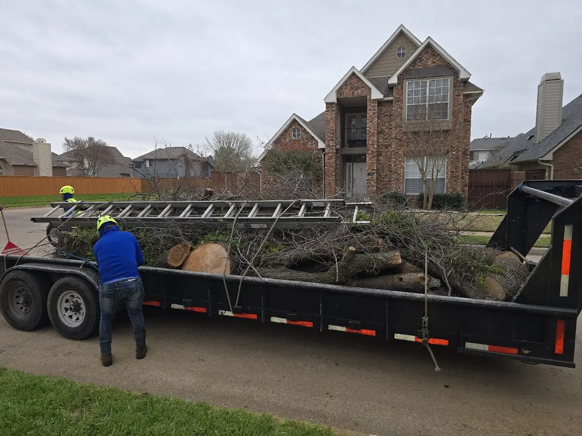 Expert Tree Fertilization with proper safety equipment in Oblong